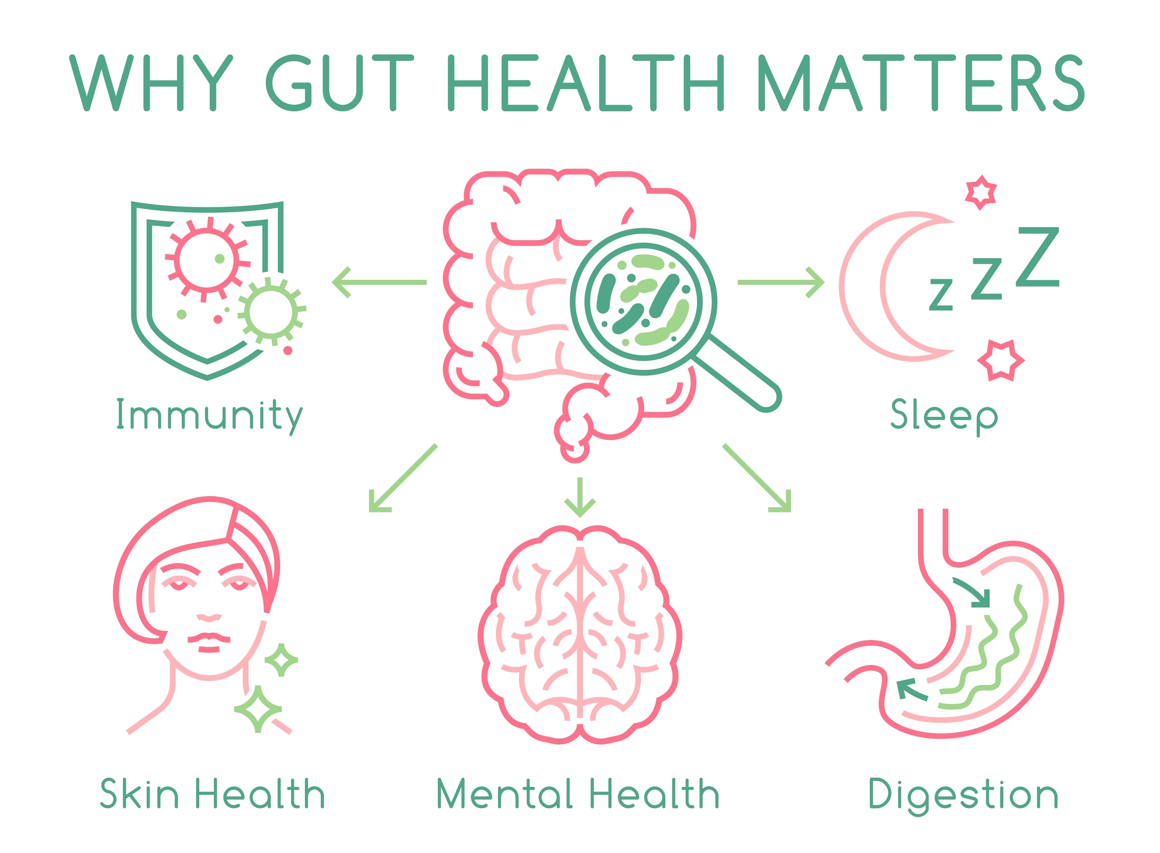 Beautiful view of Gut Health And Sleep Connection