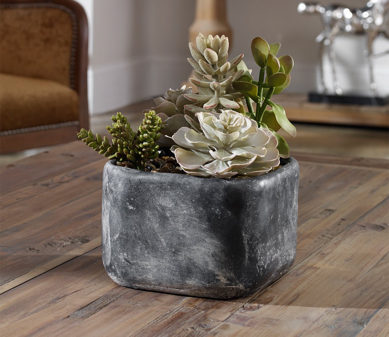 Alverio Desert Garden Succulents by Uttermost