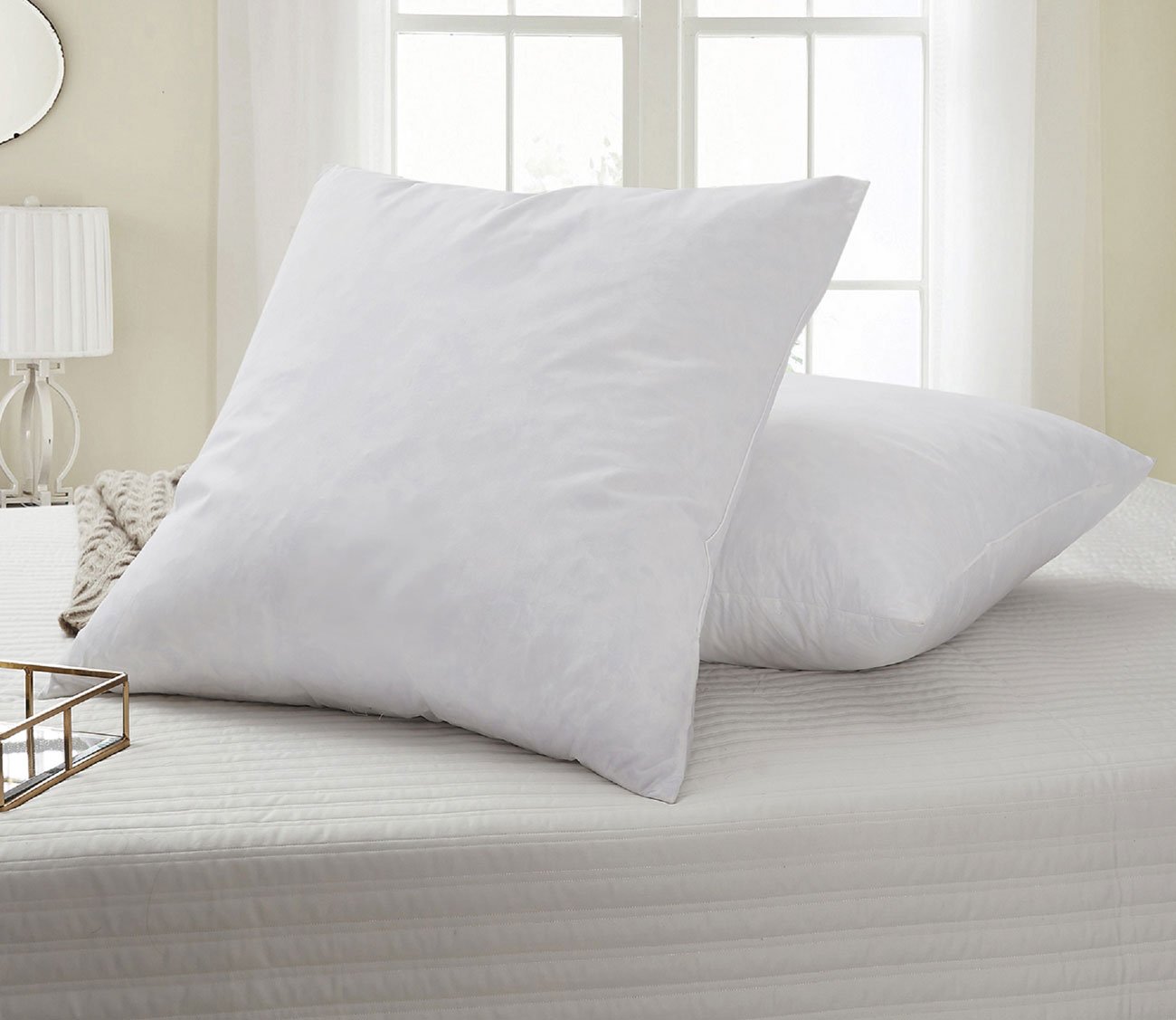 http://www.citymattress.com/cdn/shop/products/feather-euro-square-pillow-2-pack-by-serta-552086.jpg?v=1638474221