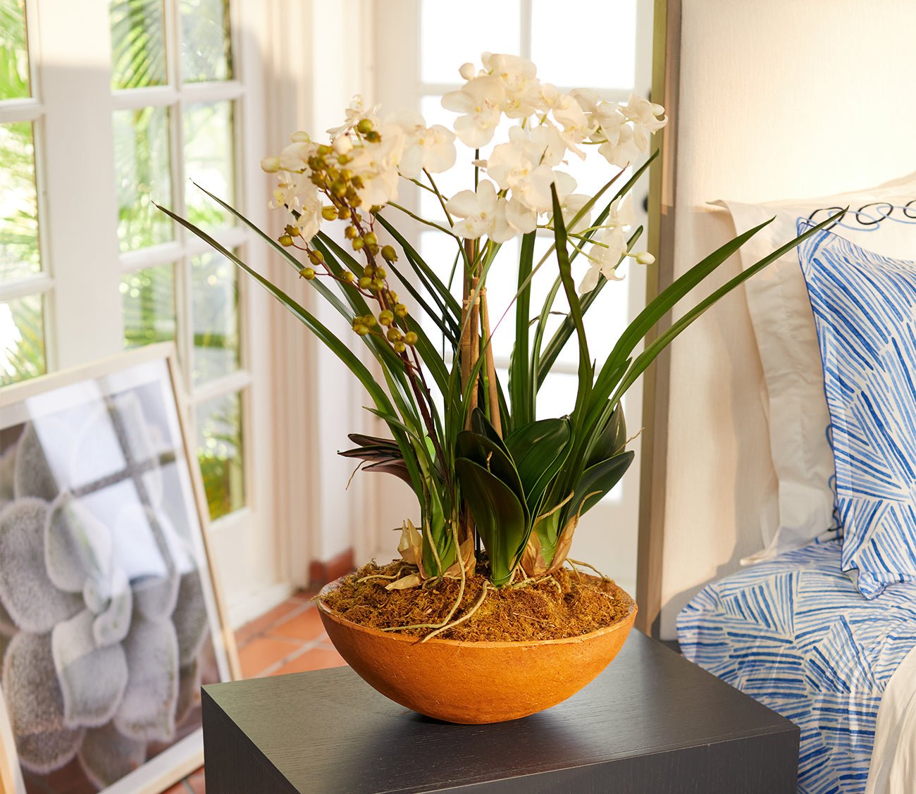 Moth Orchid Planter by Uttermost