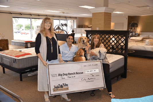 City Mattress Lends Support to Big Dog Ranch Rescue - City Mattress