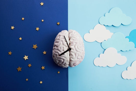 How Longer Summer Days Affect Your Sleep and Circadian Rhythm - City Mattress