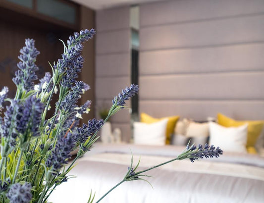 Sleep on a Lavender Infused Pillow for a Calmer Night’s Sleep - City Mattress