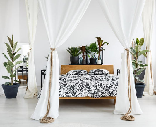 What Feng Shui Says About Plants in Your Bedroom - City Mattress