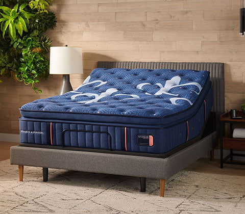 Box Springs, Adjustable Beds, Bases, Bed Frames – City Mattress