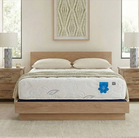 PranaSleep on sale at City Mattress