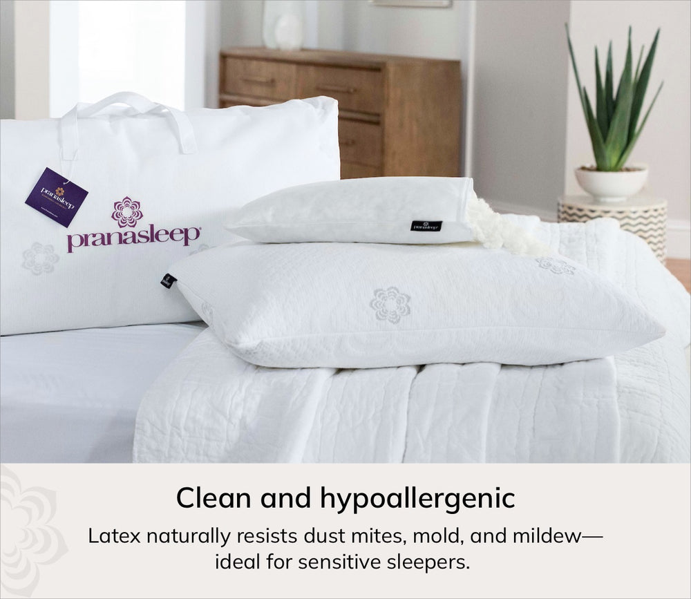 Clean and hypoallergenic