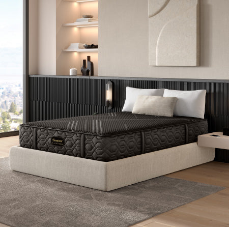 Shop Beautyrest Black mattresses