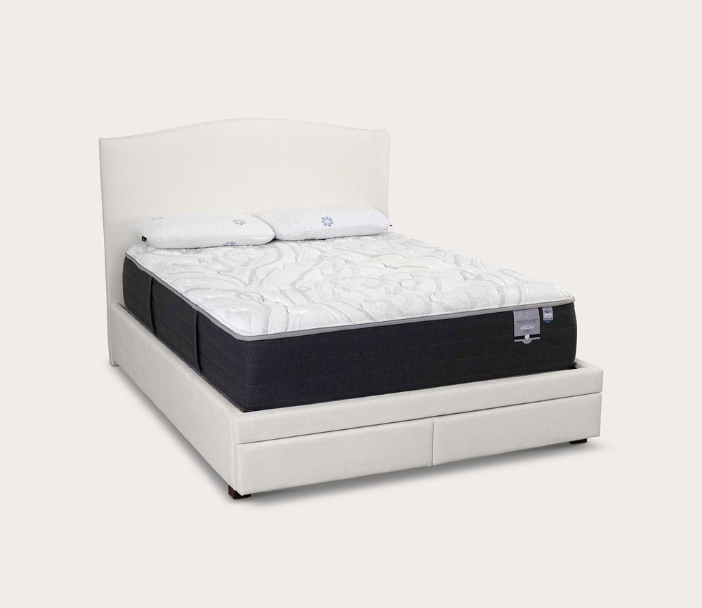 City Mattress Kemper Camel Arch Bed