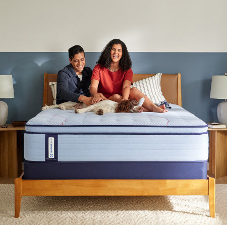 Sealy on sale at City Mattress