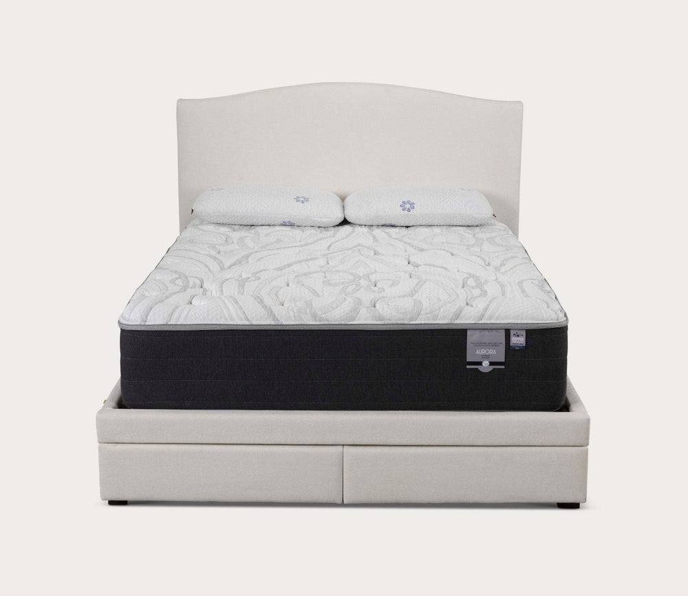 Kemper Camel Arch Storage Bed by CM Home