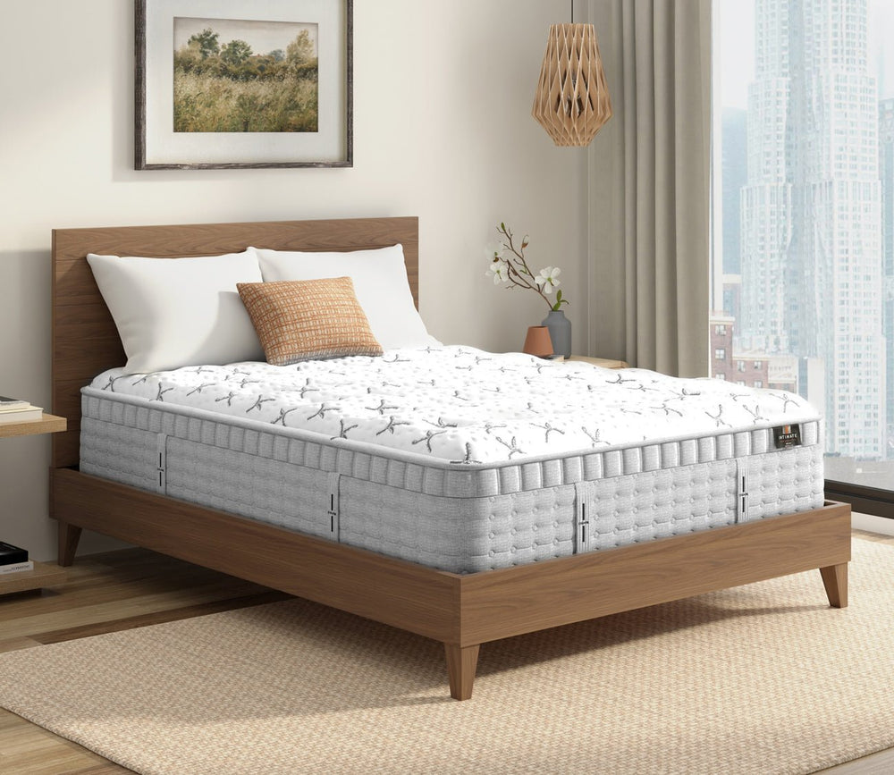 King Koil Intimate Serenity Euro Top Medium Mattress by King Koil