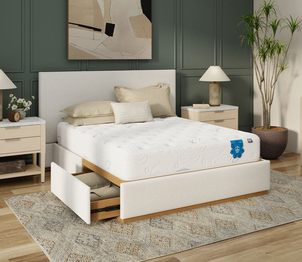 PranaSleep Asha Classic 3.0 Plush Mattress by PranaSleep