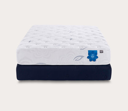 Thumbnail for PranaSleep Asha Classic 3.0 Plush Mattress - Image 3