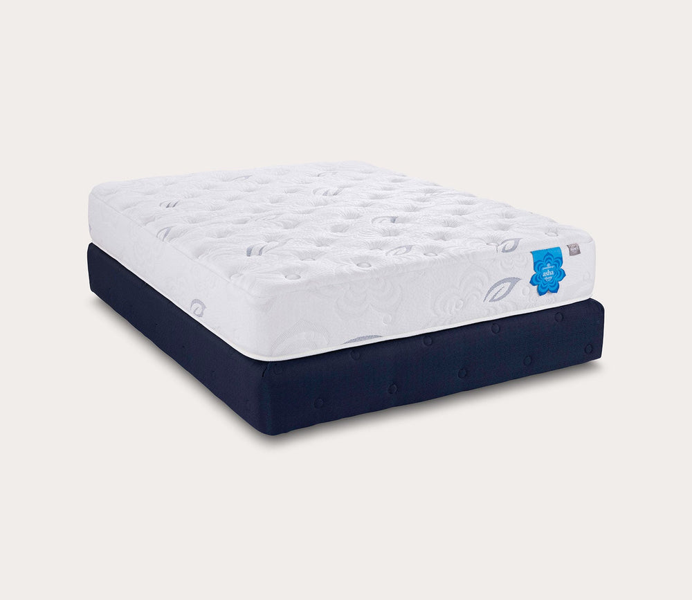 PranaSleep Asha Classic 3.0 Plush Mattress by PranaSleep