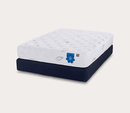 Thumbnail for PranaSleep Asha Classic 3.0 Plush Mattress - Image 5