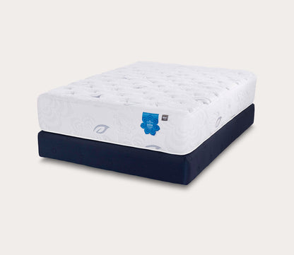 Thumbnail for PranaSleep Asha LuxePro 3.0 Medium Mattress - Image 3