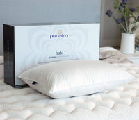 PranaSleep Halo Down Pillow - Standard / One Pillow