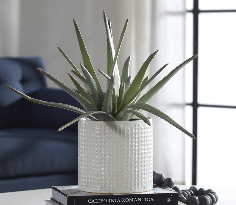 Taos Faux Aloe Plant Centerpiece - Image 1