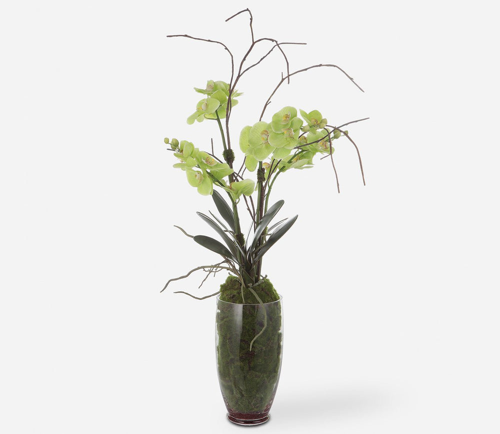 Valdive Faux Green Orchid by Uttermost