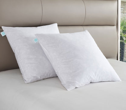 233TC Cotton Firm Feather Euro Pillow 2-Pack by Martha Stewart