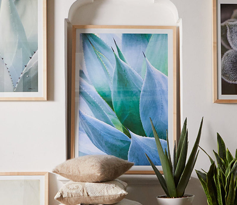Grand Image Agave 1 Digital Print - Image 1