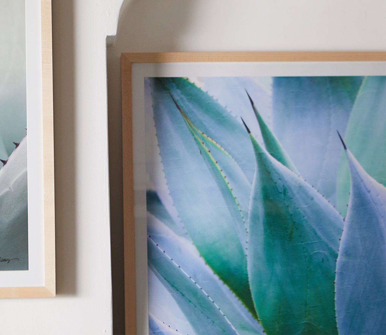 Grand Image Agave 1 Digital Print– City Mattress