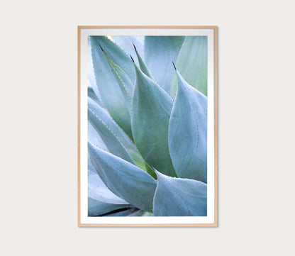 Agave 1 Digital Print by Grand Image Home