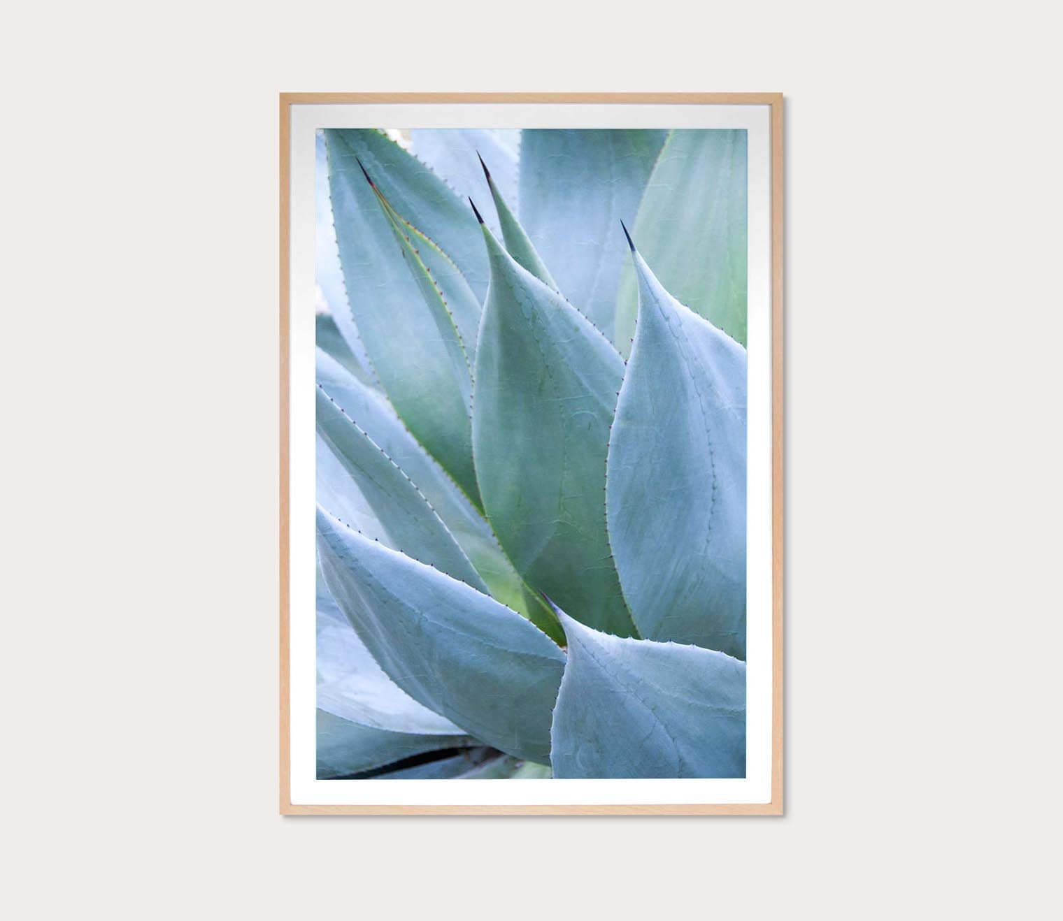 Grand Image Agave 1 Digital Print