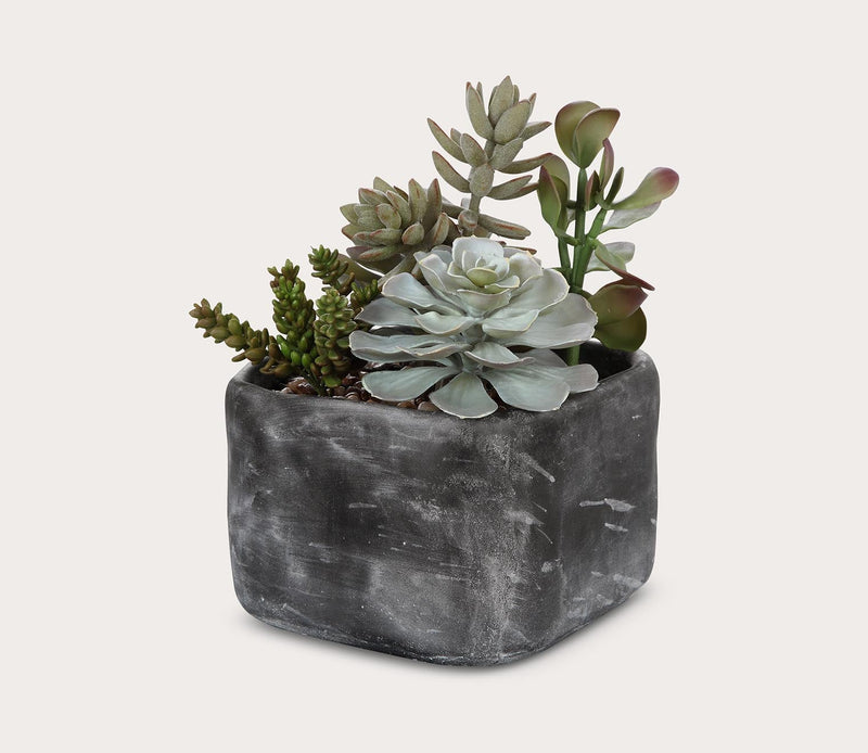 Uttermost Alverio Desert Garden Succulents - Image 3