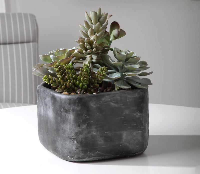 Uttermost Alverio Desert Garden Succulents - Image 2