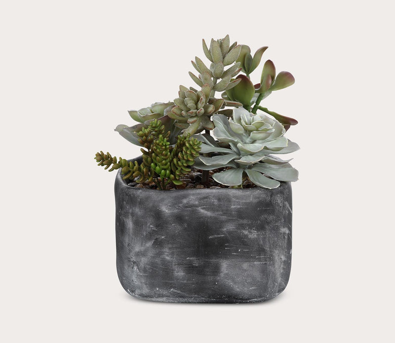 Uttermost Alverio Desert Garden Succulents - Image 4