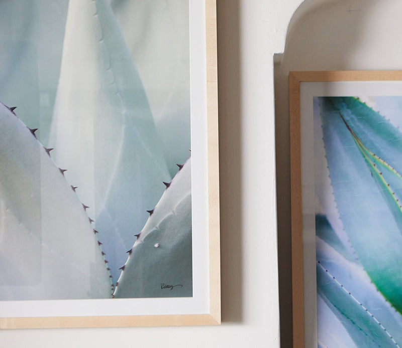 Grand Image Black Tip Succulent Digital Print - Image 2