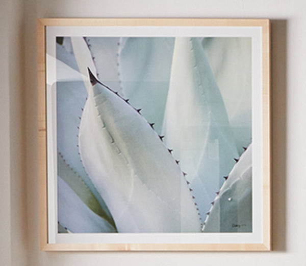 black tipped succulent Grand Image Black Tip Succulent Digital Print– City Mattress