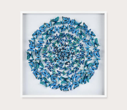 Blue Butterfly Dimensional Wall Art by Elk Home