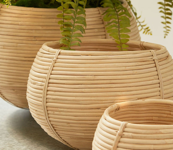 Cane Rattan Plant Baskets Set of 3 by Napa Home & Garden