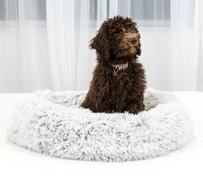 Ceramo Foam Pet Bed by Blu Sleep