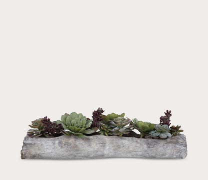 Charita Lush Succulents by Uttermost