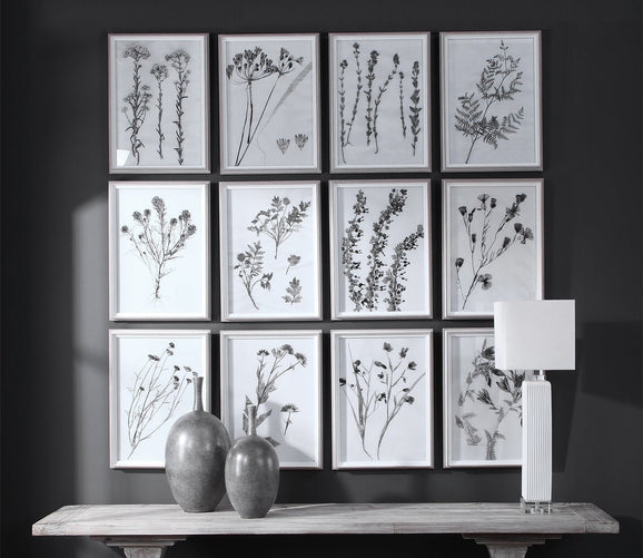 Contemporary Botanicals Prints Set of 12 by Uttermost