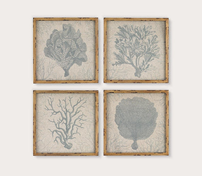 Coral Prints Set of 4 by Elk Home