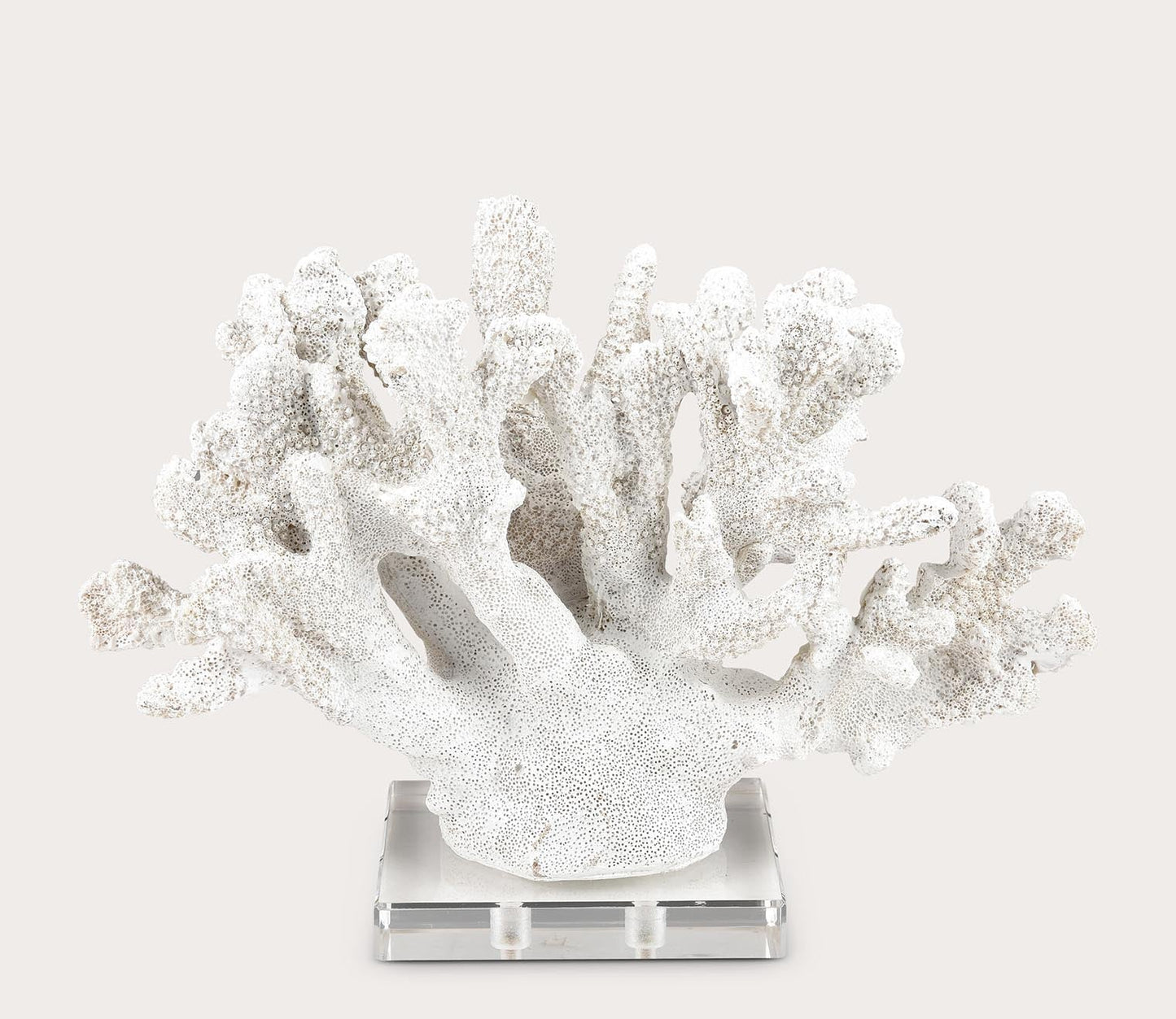 Coral Sculptures Set of 2 by Elk Home