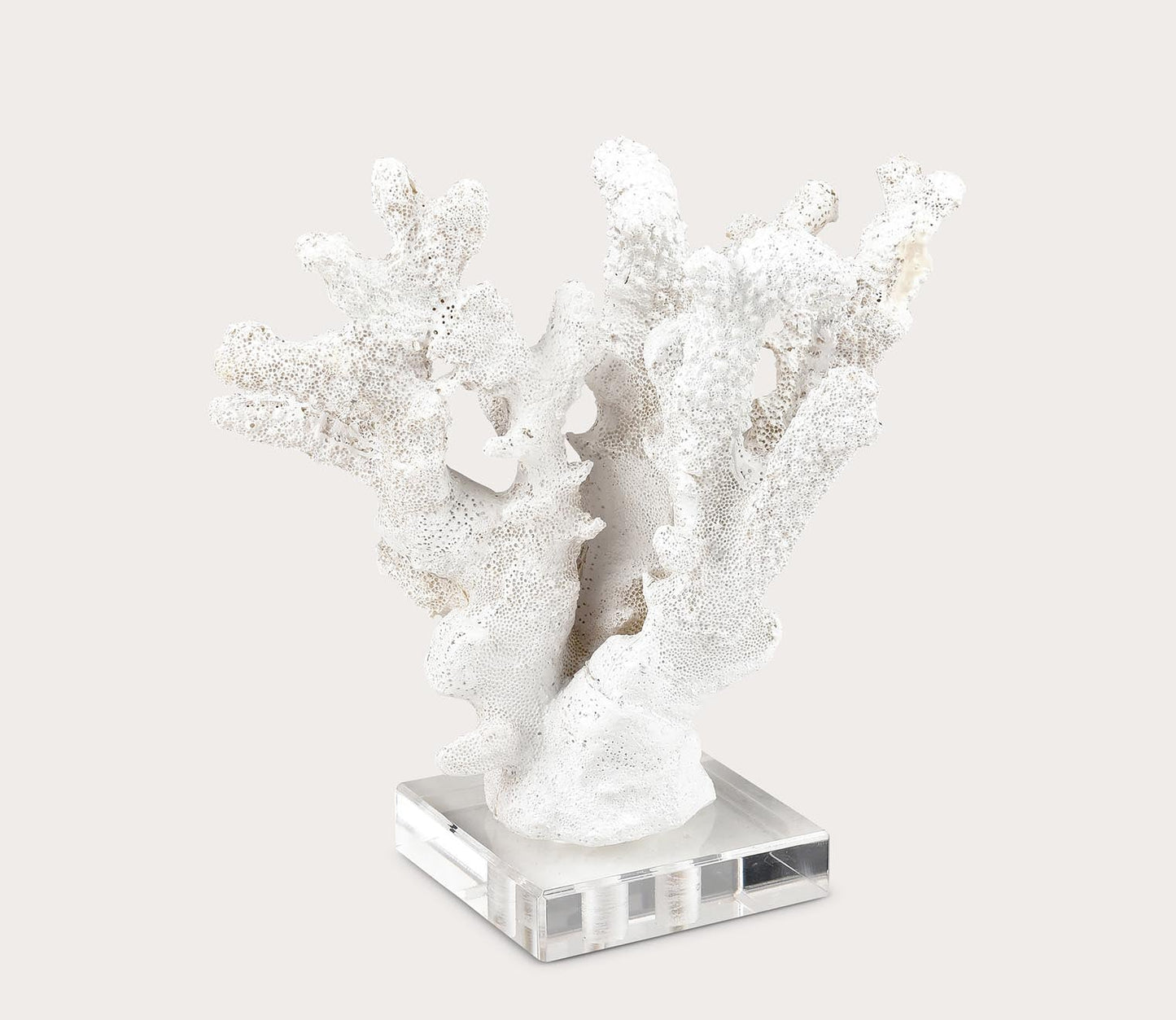 Coral Sculptures Set of 2 by Elk Home