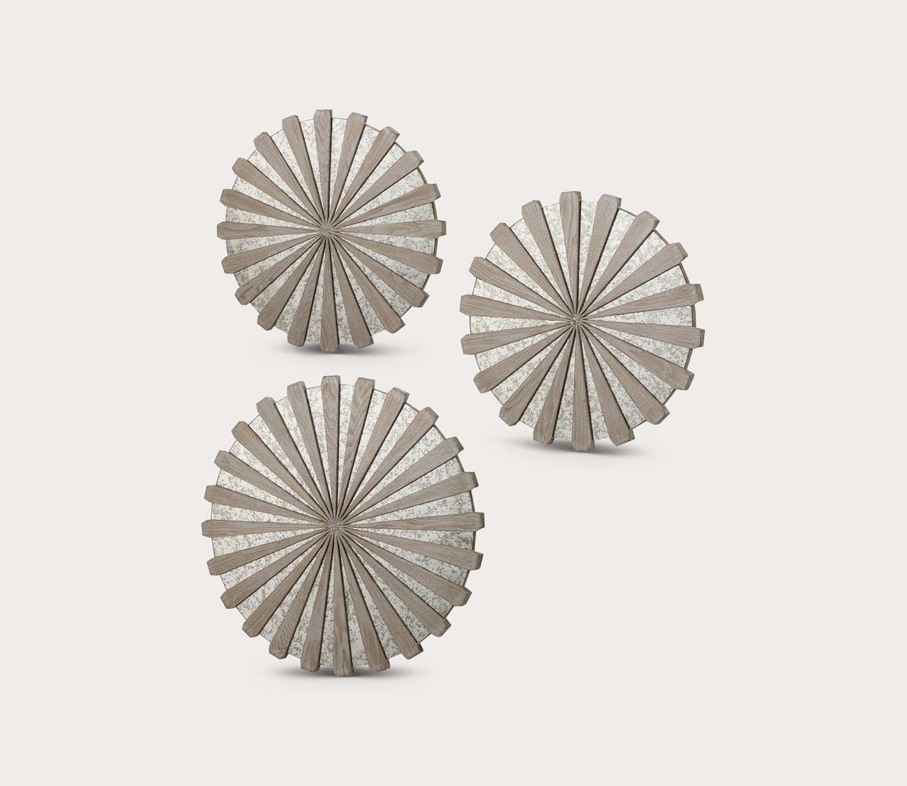 Daisies Mirrored Circular Wall Decor by Uttermost
