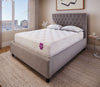 Dharma Classic Plush Mattress by PranaSleep