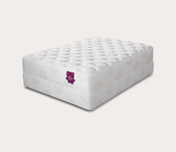 PranaSleep Dharma Select Plush Mattress City Mattress