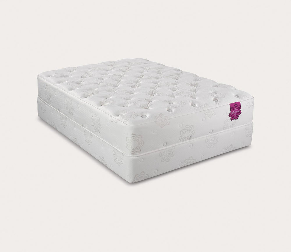 Dharma Select Plush Mattress by PranaSleep