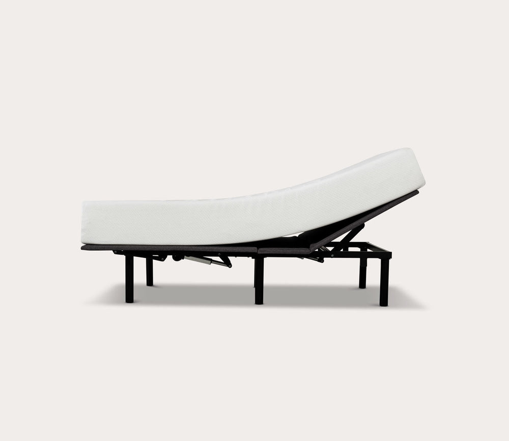 Divine Plush 8-Inch Gel Foam Mattress by Primo International