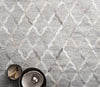 Dorado Grey Area Rug by Loloi