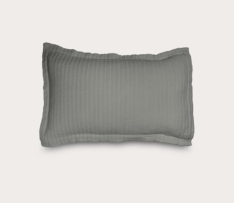 Dr. Weil Ridgeback Pillow Sham - Image 4