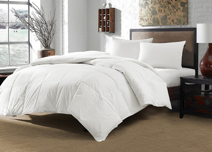 Dream Naturally® White Down Comforter by Downlite